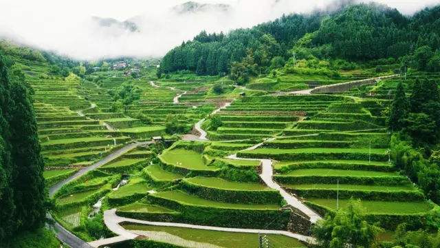 雄大なスケールと綺麗な曲線の美が人々を魅了する龍勝龍脊棚田(李さん特別編)