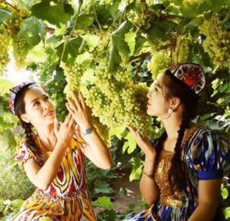 彫りの深いエキゾチックな美男美女が多く 情熱的な歌と踊りが特徴的なウイグル族 何さん特別編
