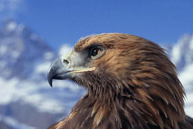 カザフスタンを含む中央アジアから中国新疆ウイグル自治区等の多くの国に跨って住んでいるカザフ族(金さん特別編)