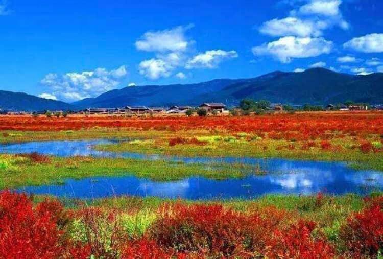 渓谷や標高6,000メートル級の氷山があり、チベット族の宗教の神秘的な雰囲気が漂う香格里拉(シャングリラ)(何さん特別編)