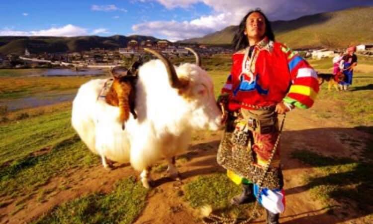 渓谷や標高6,000メートル級の氷山があり、チベット族の宗教の神秘的な雰囲気が漂う香格里拉(シャングリラ)(何さん特別編)