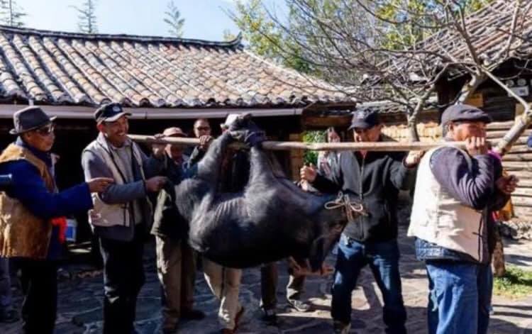普段は農民として働き、住民の依頼を受けた時にトンパの活動を行うナシ族(李さん特別編)