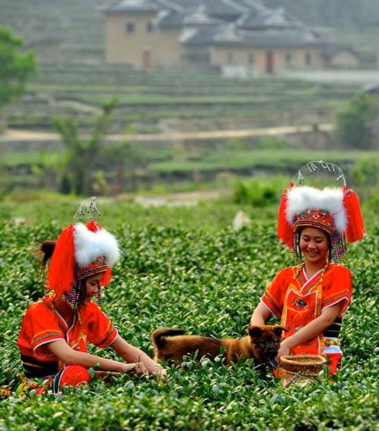 台湾や中国の福建省に幅広く住んでいる高山族(羅さん特別編)