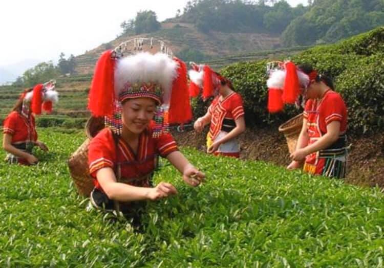 台湾や中国の福建省に幅広く住んでいる高山族(羅さん特別編)